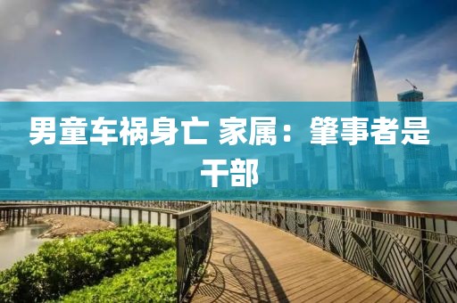 男童车祸身亡 家属：肇事者是干部