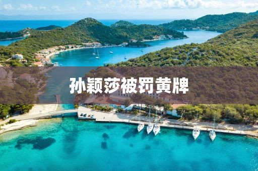 孙颖莎被罚黄牌