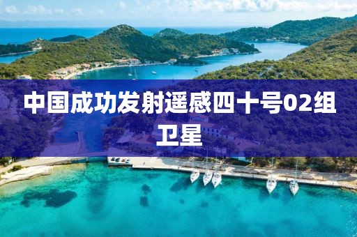 中国成功发射遥感四十号02组卫星