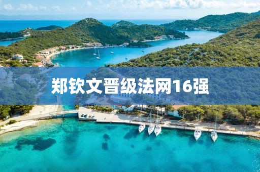 郑钦文晋级法网16强