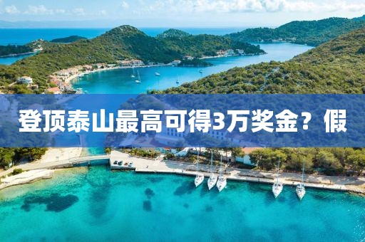 登顶泰山最高可得3万奖金？假