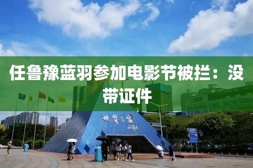 任鲁豫蓝羽参加电影节被拦：没带证件