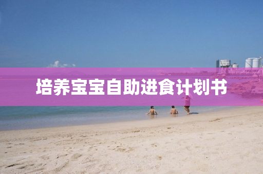 培养宝宝自助进食计划书