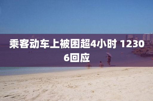 乘客动车上被困超4小时 12306回应