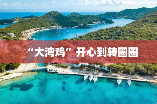 “大湾鸡”开心到转圈圈