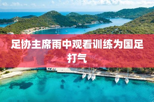 足协主席雨中观看训练为国足打气