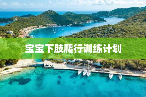 宝宝下肢爬行训练计划
