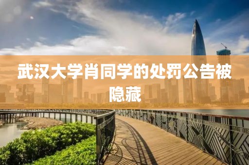 武汉大学肖同学的处罚公告被隐藏