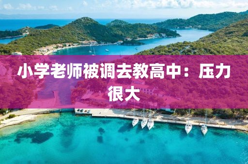 小学老师被调去教高中：压力很大