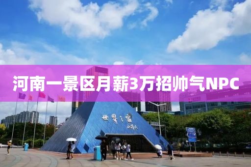 河南一景区月薪3万招帅气NPC
