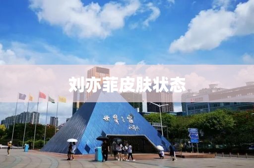 刘亦菲皮肤状态