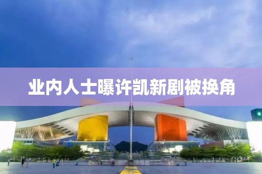 业内人士曝许凯新剧被换角