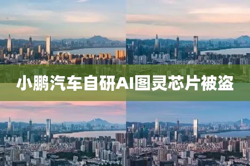 小鹏汽车自研AI图灵芯片被盗