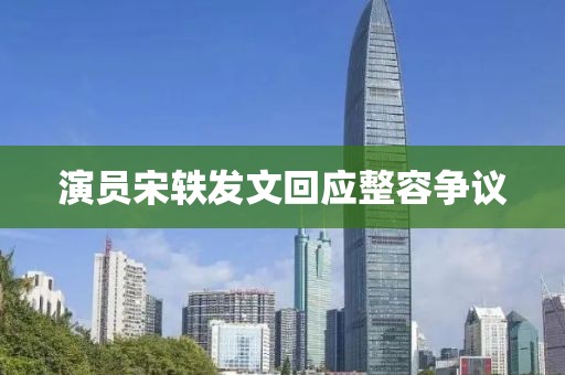 演员宋轶发文回应整容争议