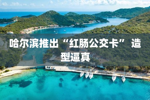 哈尔滨推出“红肠公交卡” 造型逼真