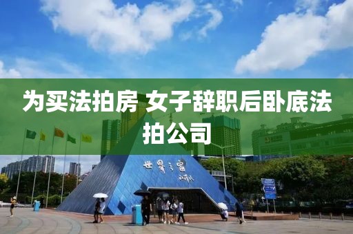为买法拍房 女子辞职后卧底法拍公司