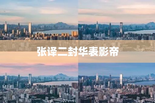 张译二封华表影帝