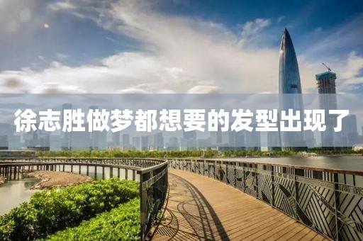 徐志胜做梦都想要的发型出现了