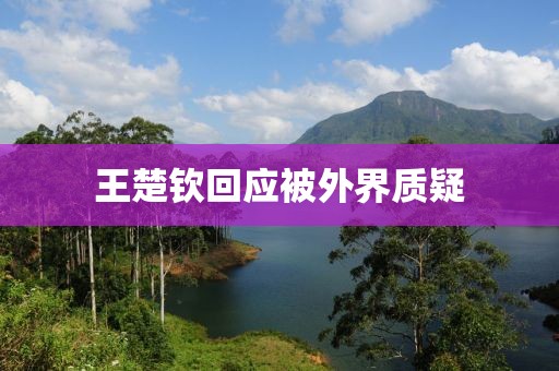王楚钦回应被外界质疑