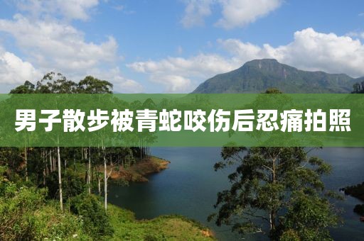 男子散步被青蛇咬伤后忍痛拍照