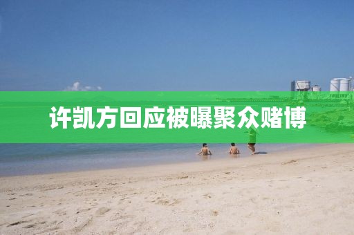 许凯方回应被曝聚众赌博