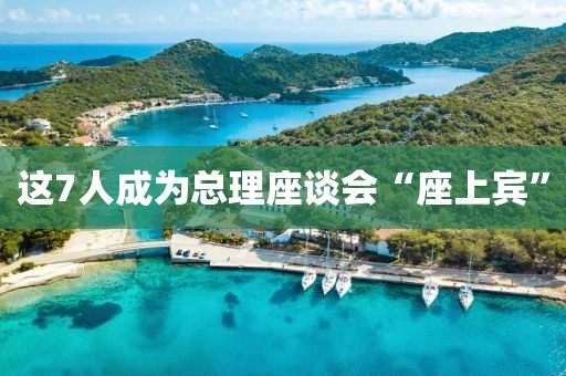 这7人成为总理座谈会“座上宾”
