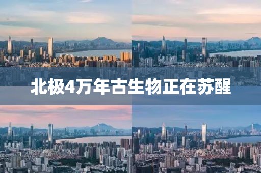 北极4万年古生物正在苏醒