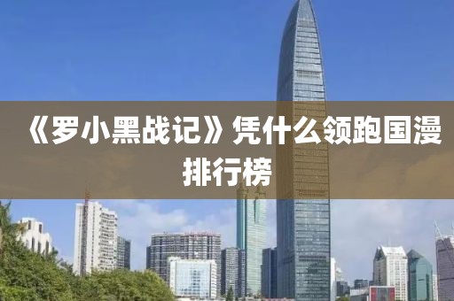 《罗小黑战记》凭什么领跑国漫排行榜