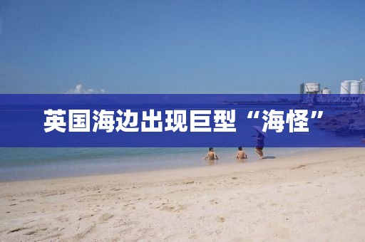 英国海边出现巨型“海怪”