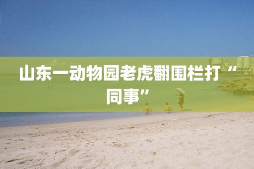 山东一动物园老虎翻围栏打“同事”