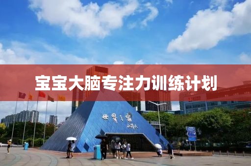 宝宝大脑专注力训练计划