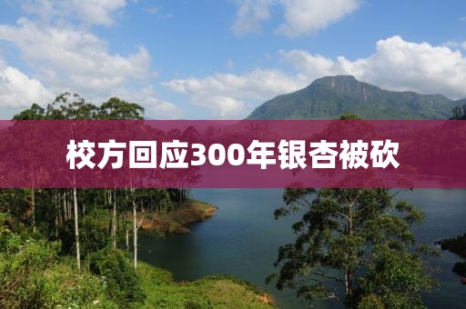 校方回应300年银杏被砍