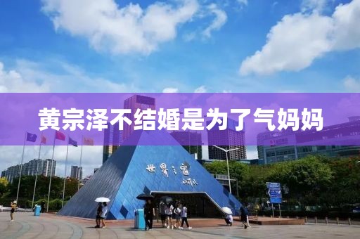 黄宗泽不结婚是为了气妈妈