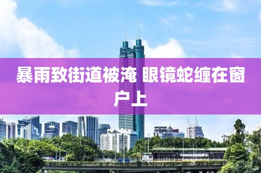 暴雨致街道被淹 眼镜蛇缠在窗户上