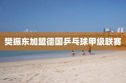 樊振东加盟德国乒乓球甲级联赛