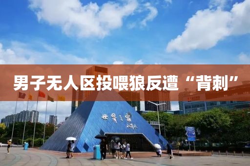 男子无人区投喂狼反遭“背刺”