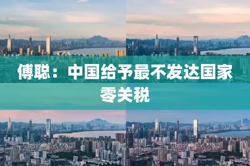 傅聪：中国给予最不发达国家零关税