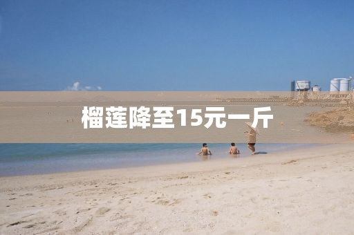 榴莲降至15元一斤