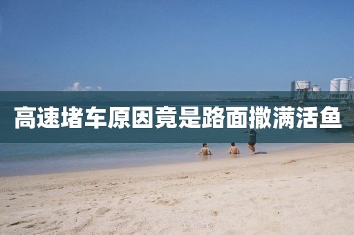高速堵车原因竟是路面撒满活鱼