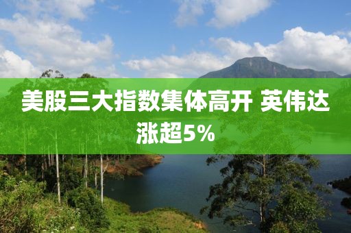 美股三大指数集体高开 英伟达涨超5%