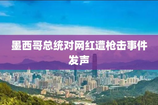 墨西哥总统对网红遭枪击事件发声