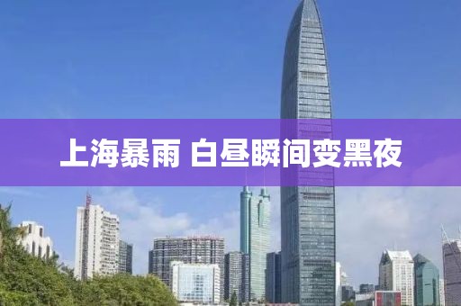 上海暴雨 白昼瞬间变黑夜