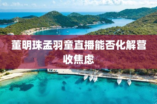 董明珠孟羽童直播能否化解营收焦虑