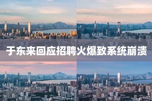 于东来回应招聘火爆致系统崩溃