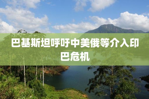 巴基斯坦呼吁中美俄等介入印巴危机