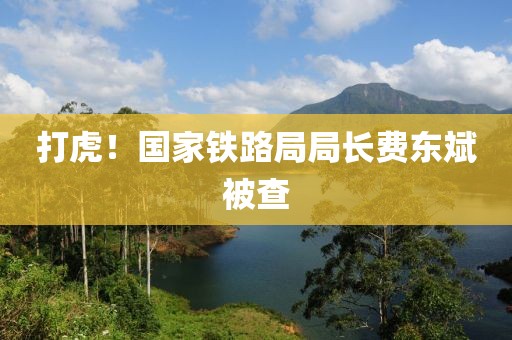 打虎！国家铁路局局长费东斌被查