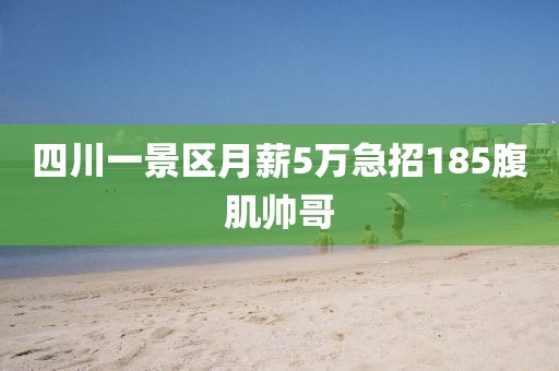 四川一景区月薪5万急招185腹肌帅哥
