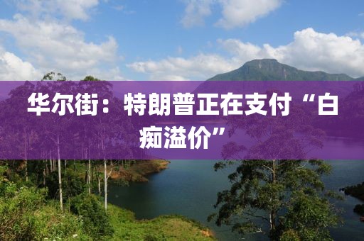 华尔街：特朗普正在支付“白痴溢价”