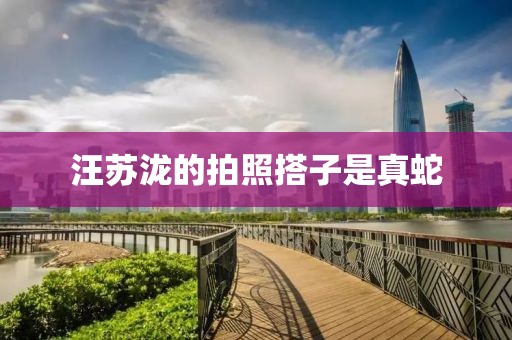 汪苏泷的拍照搭子是真蛇