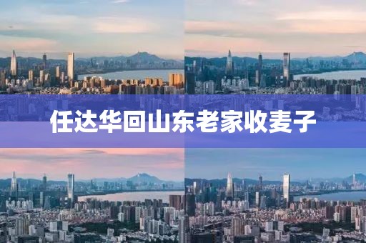 任达华回山东老家收麦子